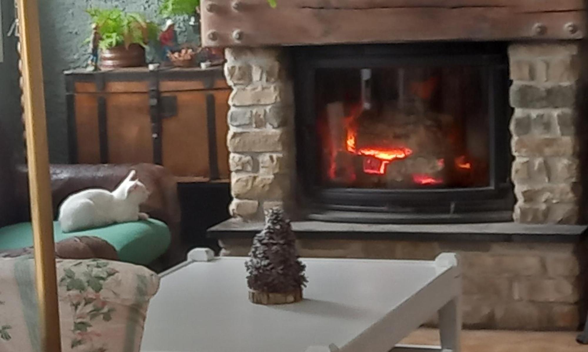 B&B Le Camelie Del Bosco Baiardo 외부 사진