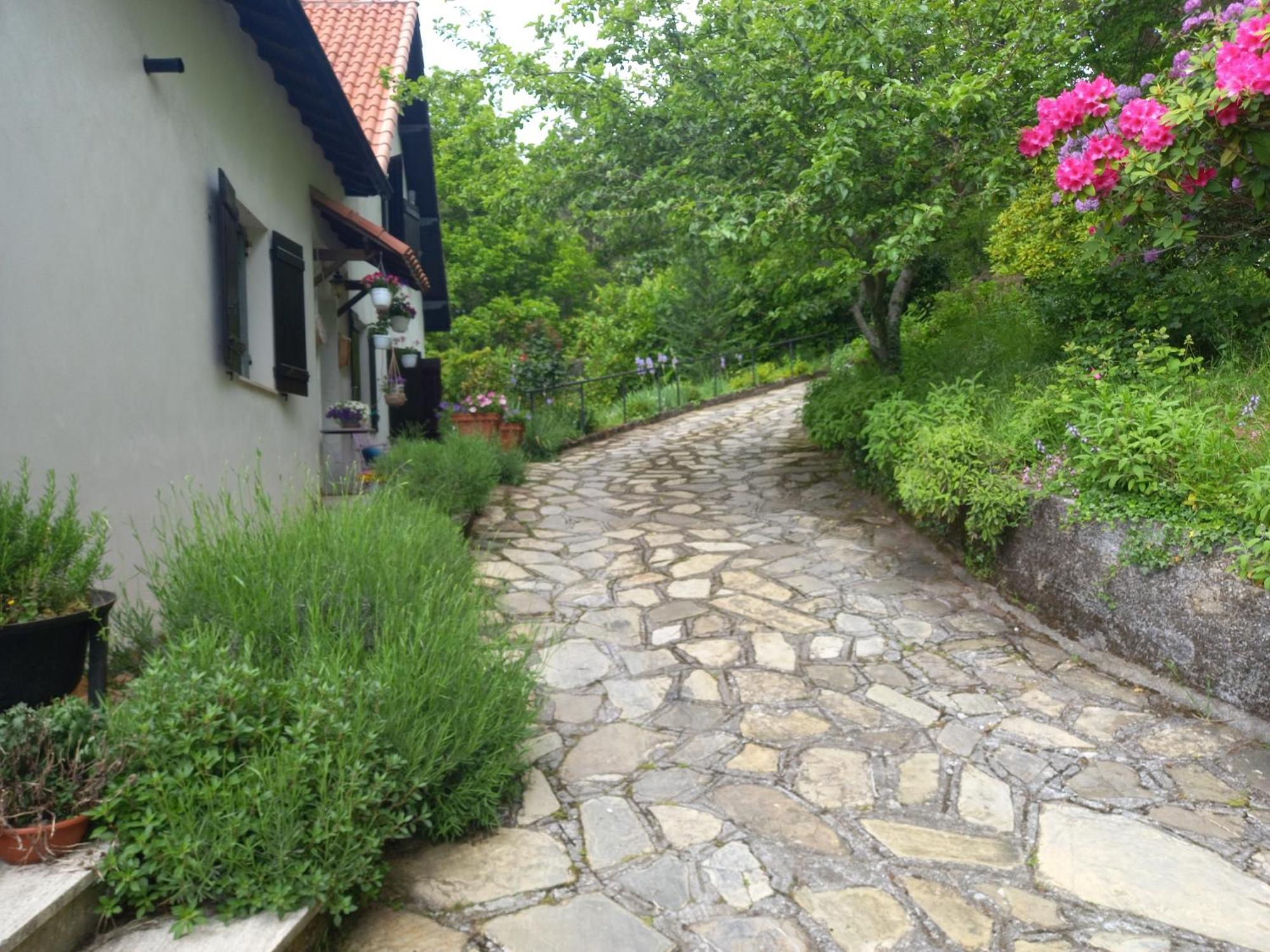 B&B Le Camelie Del Bosco Baiardo 외부 사진