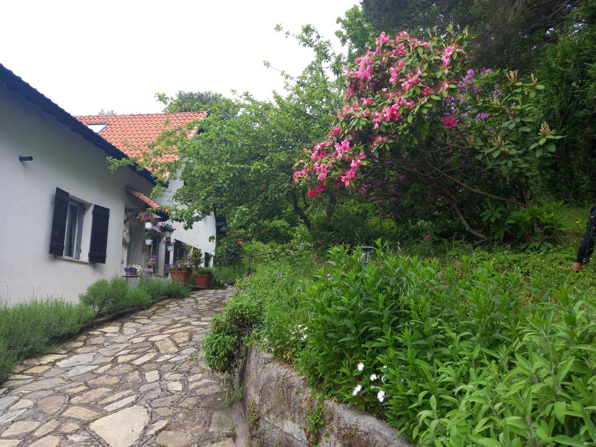 B&B Le Camelie Del Bosco Baiardo 외부 사진