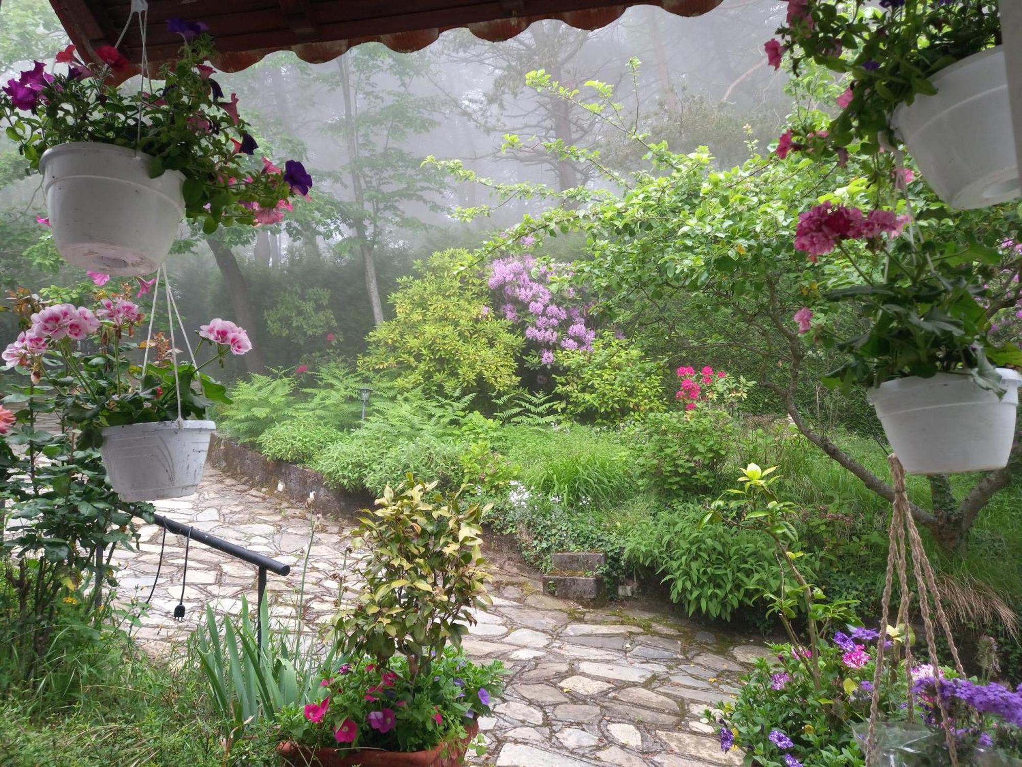 B&B Le Camelie Del Bosco Baiardo 외부 사진