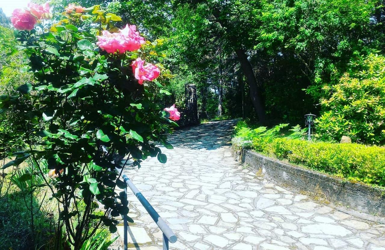 B&B Le Camelie Del Bosco Baiardo 외부 사진