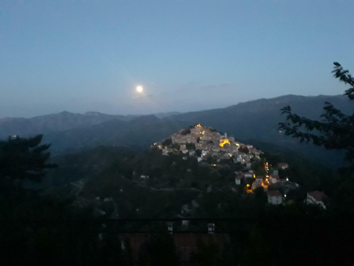 B&B Le Camelie Del Bosco Baiardo 외부 사진
